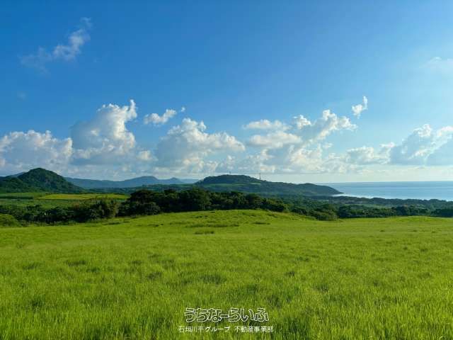 16,856m² Land for Sale in Ishigaki with Pacific Ocean Views - Thumbnail 4