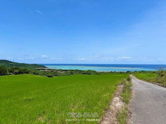 16,856m² Land for Sale in Ishigaki with Pacific Ocean Views - Thumbnail 2
