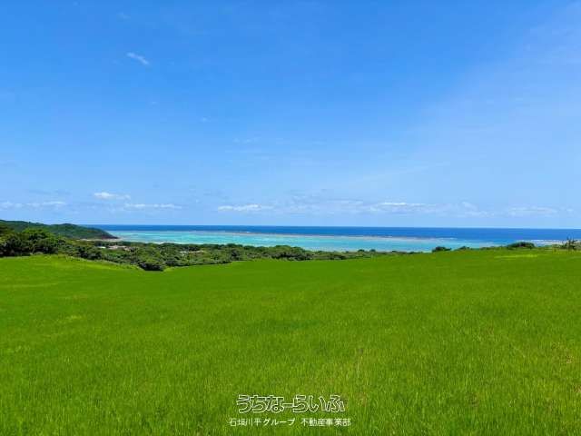 16,856m² Land for Sale in Ishigaki with Pacific Ocean Views - Thumbnail 3