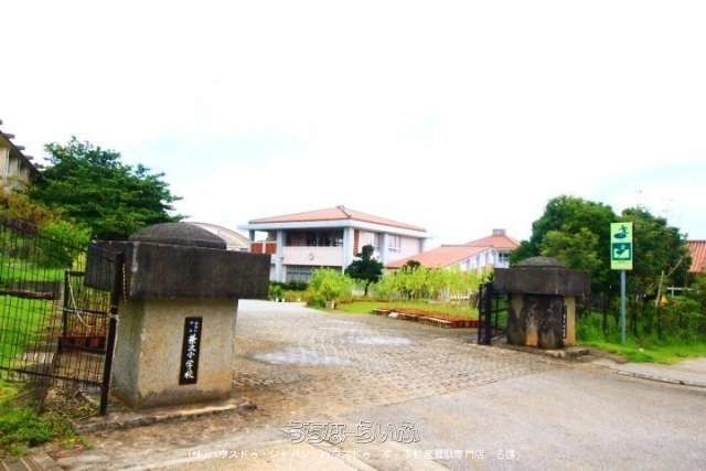 Land for Sale in Nakijin, Okinawa with Sea and Mountain Views - Thumbnail 4