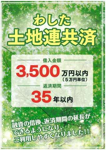201 sqm Military Land for Sale in Okinawa City's Ikehara District - Thumbnail 4