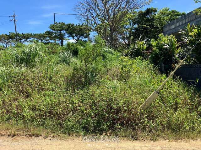 750m² Land for Sale in Motobu Town, Okinawa - Subdivision Possible - Thumbnail 3