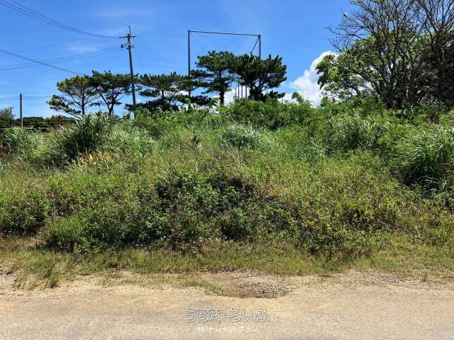 750m² Land for Sale in Motobu Town, Okinawa - Subdivision Possible - Thumbnail 4