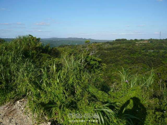 13,963 sqm Land for Sale in Ogimi Village, Okinawa with Ocean Views - Thumbnail 3