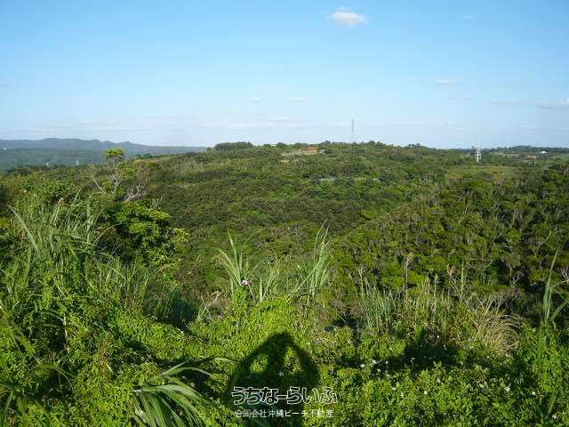 13,963 sqm Land for Sale in Ogimi Village, Okinawa with Ocean Views - Thumbnail 2