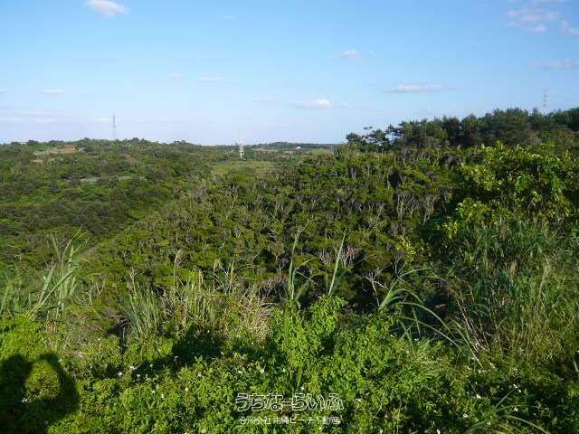 13,963 sqm Land for Sale in Ogimi Village, Okinawa with Ocean Views - Thumbnail 4