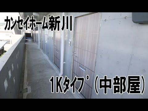 Kansei Home Shinkawa 4F-Gou Rental Apartment in Ishigaki - Thumbnail 2