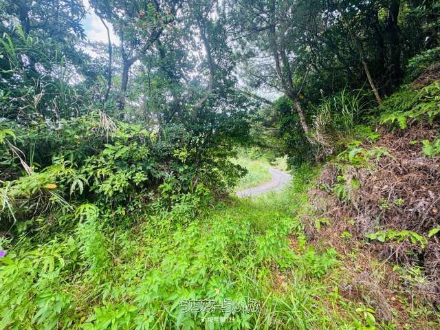 6,175 sqm Land for Sale in Nakijin, Okinawa - Near Major Attractions - Thumbnail 3