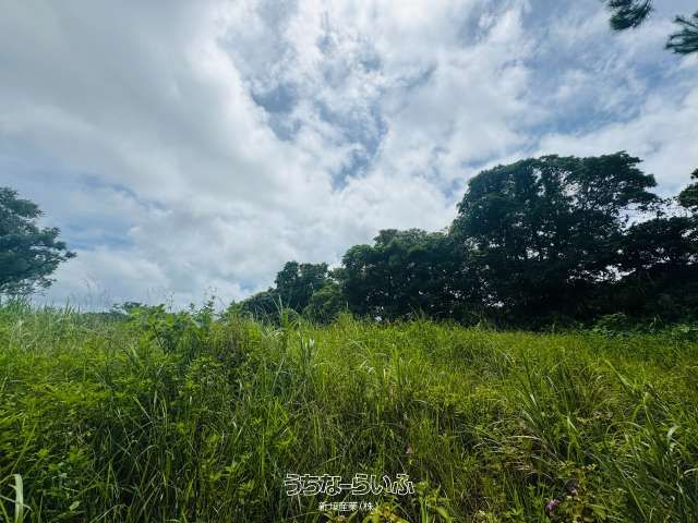6,175 sqm Land for Sale in Nakijin, Okinawa - Near Major Attractions - Thumbnail 4