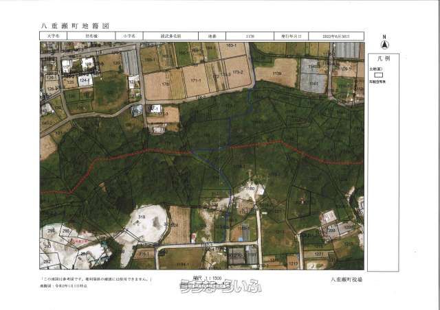 305.79 sqm Farmland for Sale in Yaese Town, Okinawa - Thumbnail 4