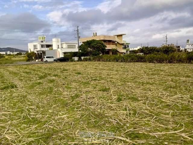 997 sqm Farmland for Sale in Nakagusuku Village, Okinawa - Thumbnail 2