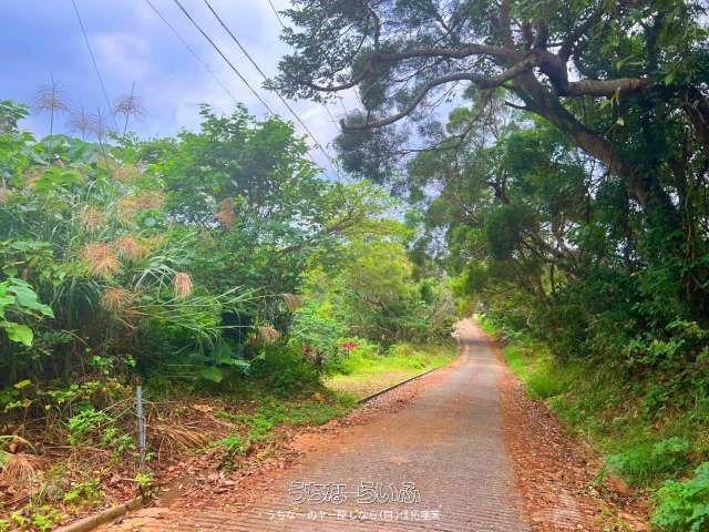 Solar Panel Land for Sale in Nakijin, Okinawa - 8% Yield - Thumbnail 4
