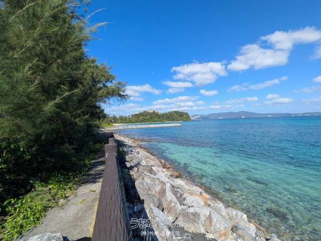 38,913 sqm Land for Sale in Nago with Nago Bay Views - Thumbnail 2