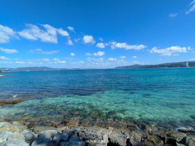 38,913 sqm Land for Sale in Nago with Nago Bay Views - Thumbnail 3