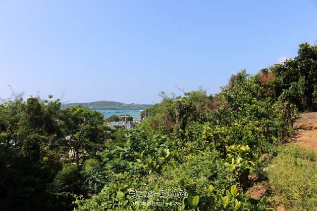 Ocean View Land for Sale in Motobu Town, Okinawa - Thumbnail 3