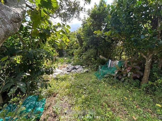 992 sqm Farmland for Sale in Nago City, Okinawa - Thumbnail 4