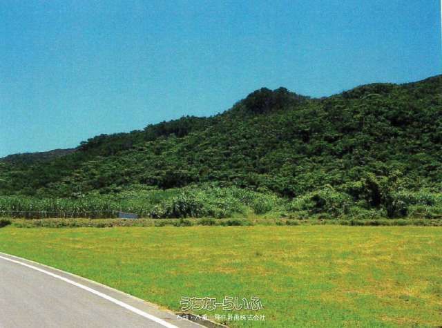 Pacific View Agricultural Land for Sale in Ishigaki, Okinawa - Thumbnail 3