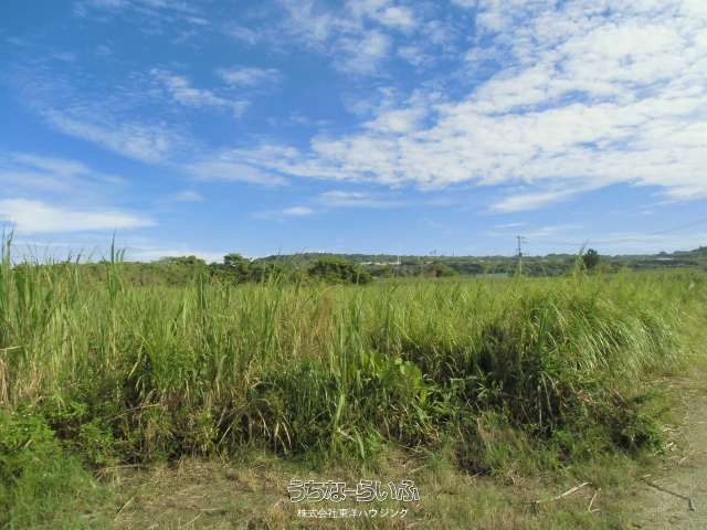 2128 sqm Agricultural Land for Sale in Itoman City, Okinawa - Thumbnail 2