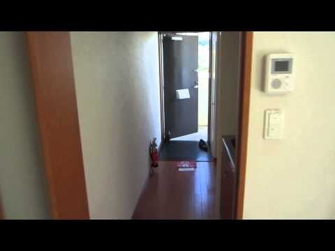 1K Furnished Apartment for Rent in Yomitan Village, Okinawa - Thumbnail 3