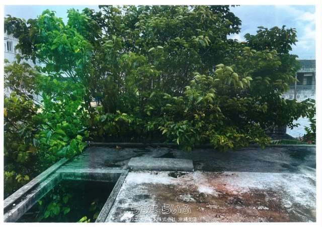 RC Block House for Sale in Ishigaki, Okinawa - 185m² Land - Thumbnail 2