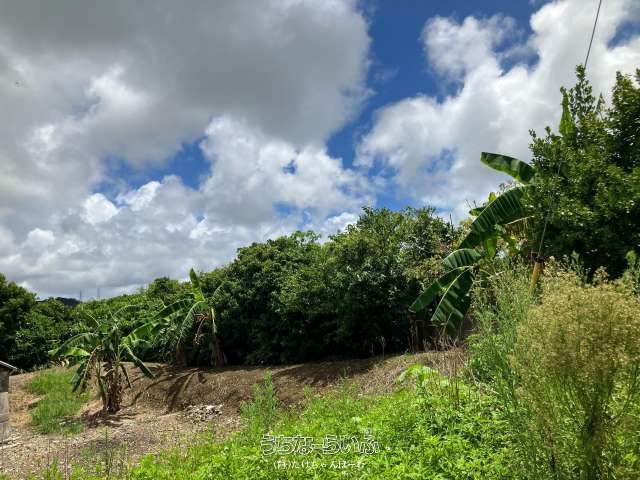 355m² Farmland for Sale in Yaese Town, Okinawa - Thumbnail 2