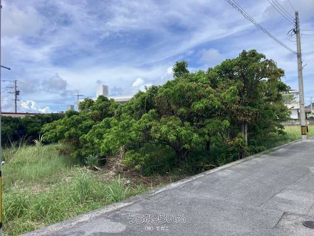 611m² Land for Sale in Chinen Kihara, Nanjo City, Okinawa - Thumbnail 3