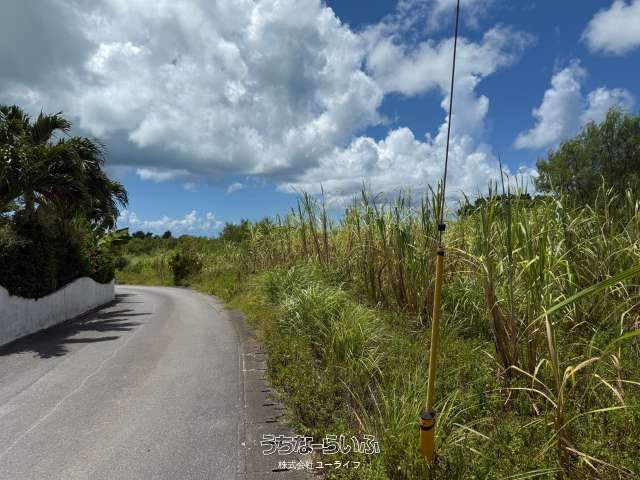 Land for Sale in Miyakojima City, Okinawa - 1620 sqm Plot - Thumbnail 2