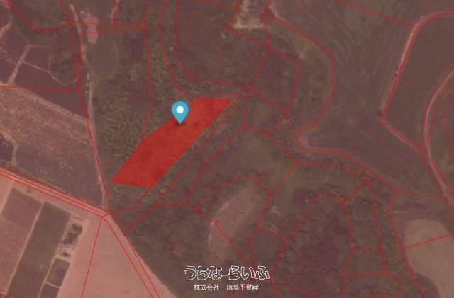 8,417 sqm Agricultural Land for Sale in Miyara, Ishigaki - Thumbnail 2