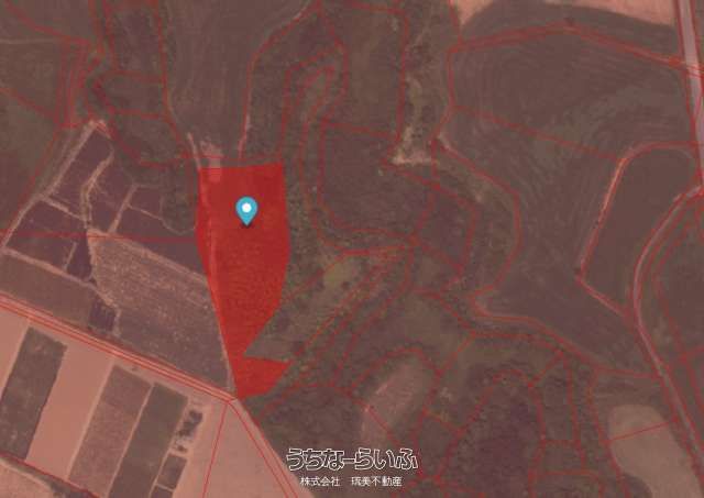 8,417 sqm Agricultural Land for Sale in Miyara, Ishigaki - Image 1