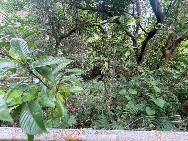 692 sqm Land for Sale in Motobu Town, Okinawa - Thumbnail 2