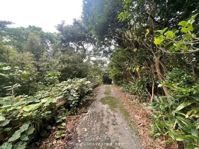 692 sqm Land for Sale in Motobu Town, Okinawa - Image 1