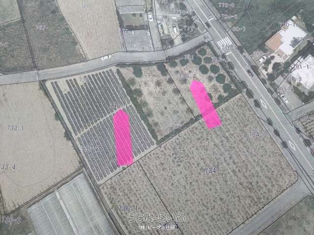 1266 sqm Land for Lease in Nanjo City, Okinawa - Thumbnail 2