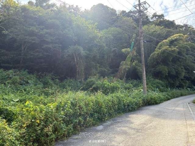 1430 sqm Residential Land for Sale in Nago, Okinawa - Thumbnail 2