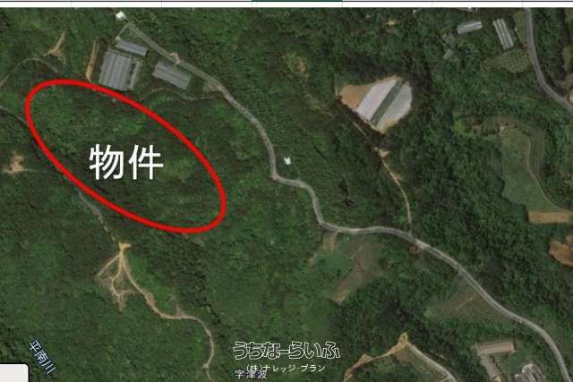 52,609 sqm Forest Land for Agriculture in Ogimi Village, Okinawa - Thumbnail 2