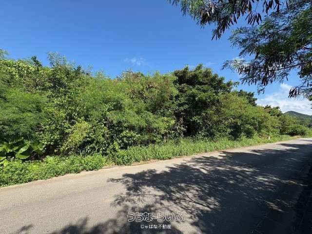 1881m² Land Plot for Sale in Motobu, Okinawa - Near Churaumi Aquarium - Thumbnail 2