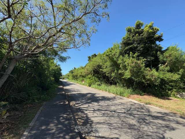 1881m² Land Plot for Sale in Motobu, Okinawa - Near Churaumi Aquarium - Thumbnail 3