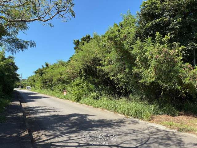 1881m² Land Plot for Sale in Motobu, Okinawa - Near Churaumi Aquarium - Thumbnail 4