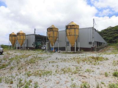 Ogimi Village, Oobo / Seller pig farm (farmland) / 120 million yen for sale and others | Okinawa real estate information [Uchinaa Life] (o-6372-9230511-0956) — Image 1, Ogimi, Okinawa