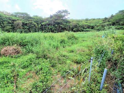 Ogimi Village, Oobo / Seller pig farm (farmland) / 120 million yen for sale and others | Okinawa real estate information [Uchinaa Life] (o-6372-9230511-0956) — Image 4, Ogimi, Okinawa