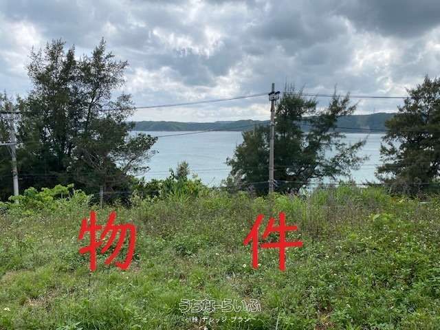 1816 Tsubo Land for Sale in Higashi Village, Okinawa - Development Site - Thumbnail 3