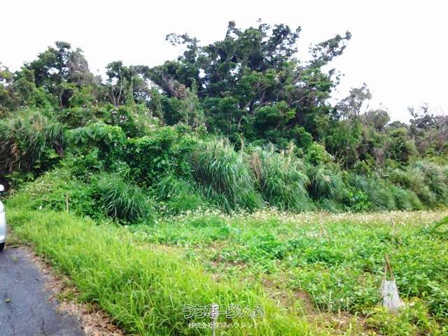 531m² Land for Sale in Onaga, Tomigusuki City, Okinawa - Thumbnail 3