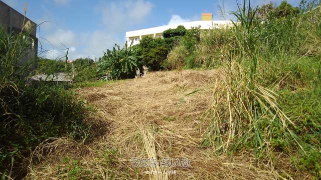 443m² Land for Sale in Nanjo City, Okinawa with Ocean Views - Thumbnail 2