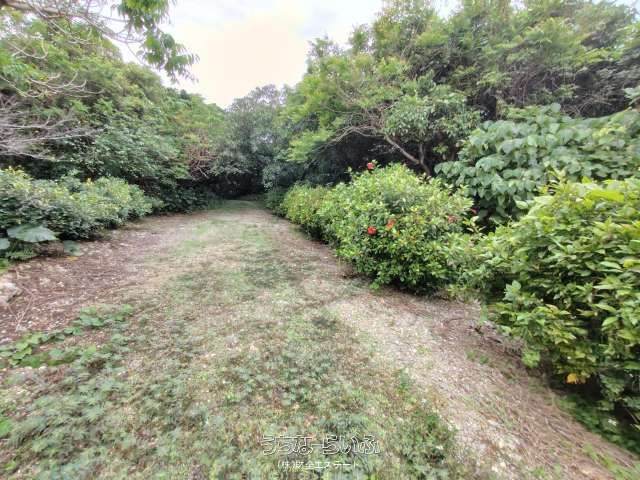10,298 sqm Land for Sale in Yaese, Okinawa - 5 Parcels - Thumbnail 4