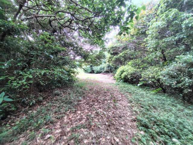 10,298 sqm Land for Sale in Yaese, Okinawa - 5 Parcels - Thumbnail 2