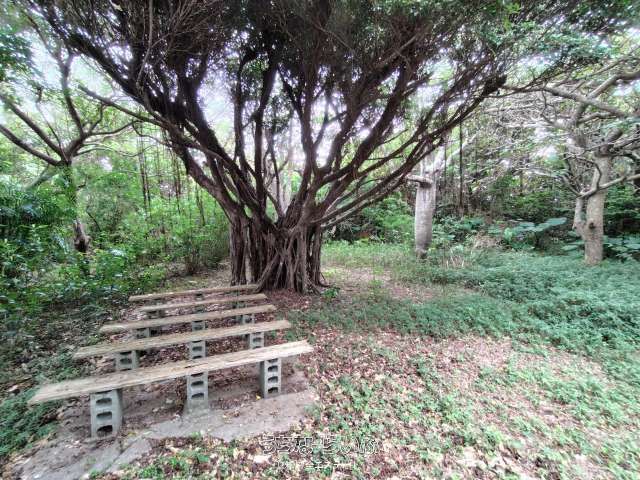 10,298 sqm Land for Sale in Yaese, Okinawa - 5 Parcels - Thumbnail 3