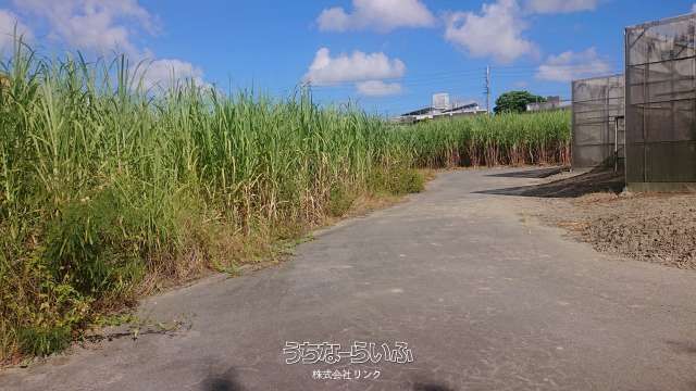 1186㎡ Agricultural Land for Sale in Nanjo City, Okinawa - Thumbnail 2