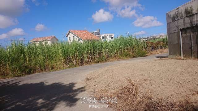 1186㎡ Agricultural Land for Sale in Nanjo City, Okinawa - Thumbnail 3