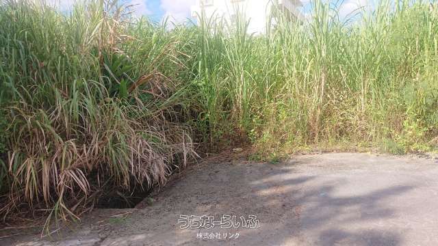 1186㎡ Agricultural Land for Sale in Nanjo City, Okinawa - Thumbnail 4