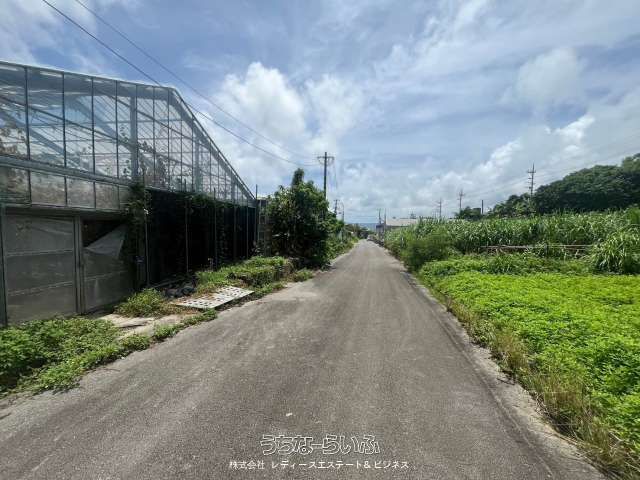 701-Tsubo Farmland with Greenhouse for Sale in Nishihara, Okinawa - Thumbnail 4