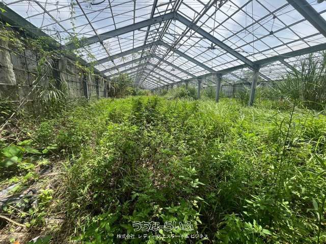 701-Tsubo Farmland with Greenhouse for Sale in Nishihara, Okinawa - Thumbnail 3